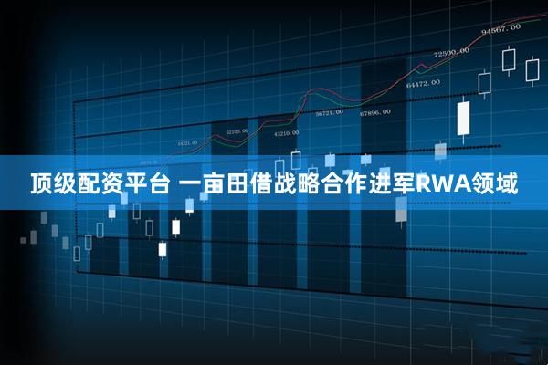 顶级配资平台 一亩田借战略合作进军RWA领域