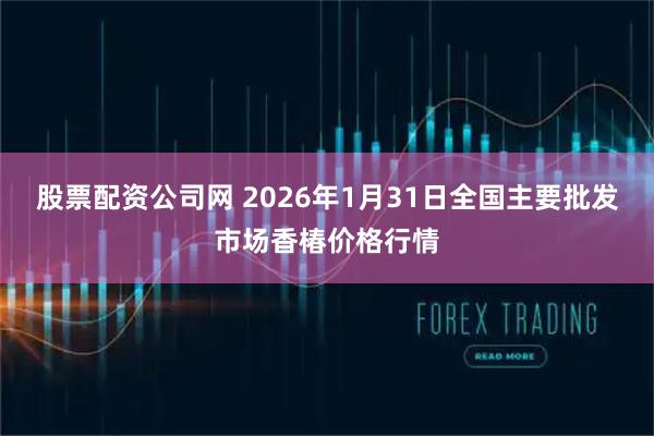 股票配资公司网 2026年1月31日全国主要批发市场香椿价格行情