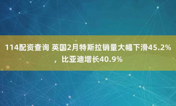 114配资查询 英国2月特斯拉销量大幅下滑45.2%，比亚迪增长40.9%